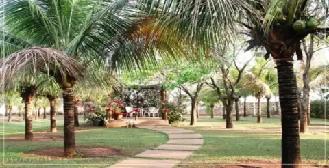 thermas-e-cia-imagem-galeria-hospedagem-pousada-tropical-vereda-em-olimpia-sp-6897b528d261c_1.webp