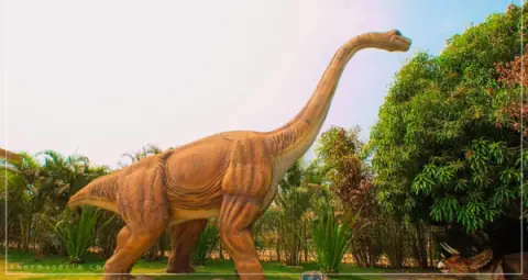 thermas-e-cia-imagem-galeria-ingresso-vale-dos-dinossauros-em-olimpia-sp-6897b3405dc1f_1.webp