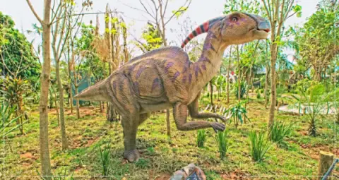 Ingresso Vale dos Dinossauros em Olimpia SP