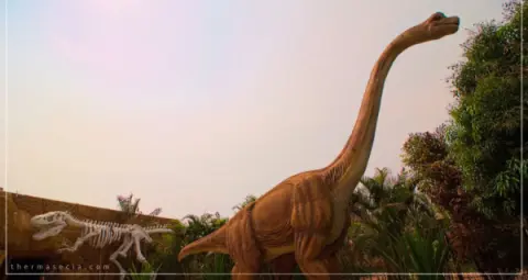 Ingresso Vale dos Dinossauros em Olimpia SP