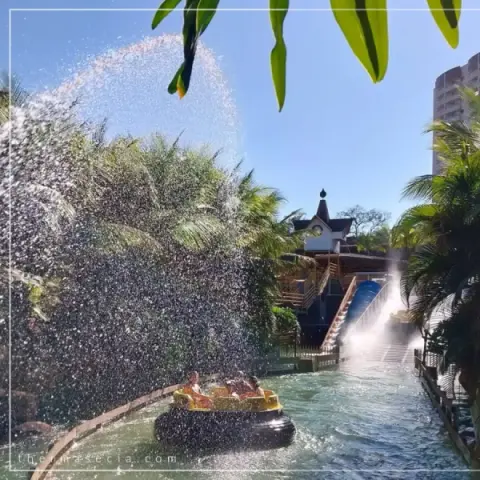 thermas-e-cia-imagem-galeria-rio-selvagem-atracao-radical-no-thermas-dos-laranjais-6897a49881f60_1.webp